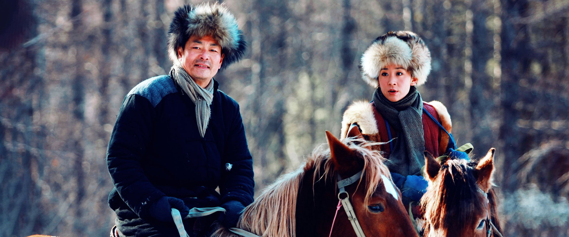 闯关东中篇's banner image