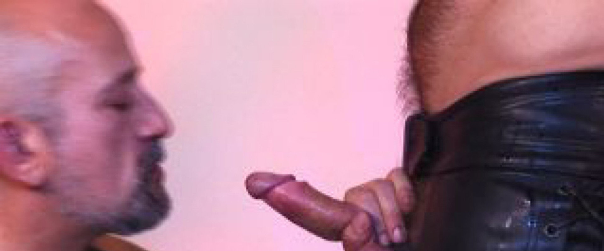 Swallow It's banner image