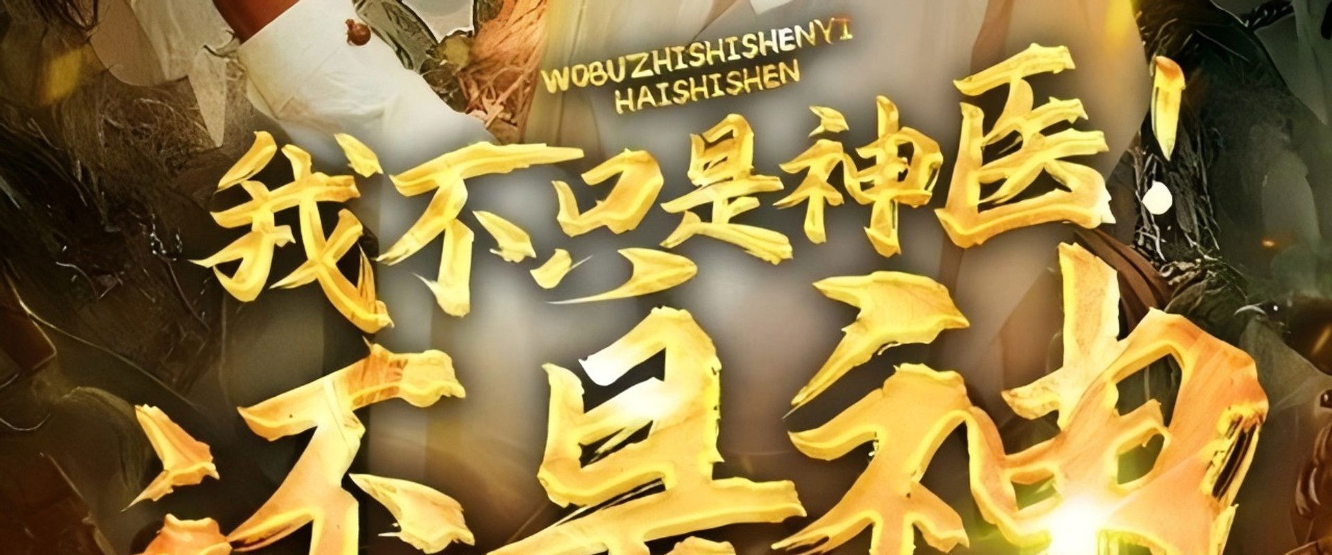 我不只是神医还是神