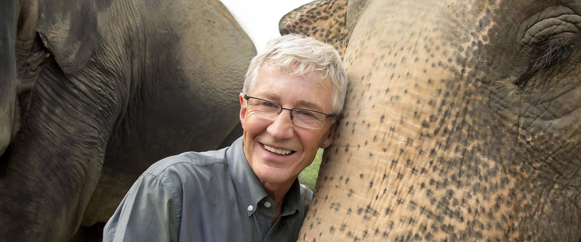 Paul O'Grady's Great Elephant Adventure