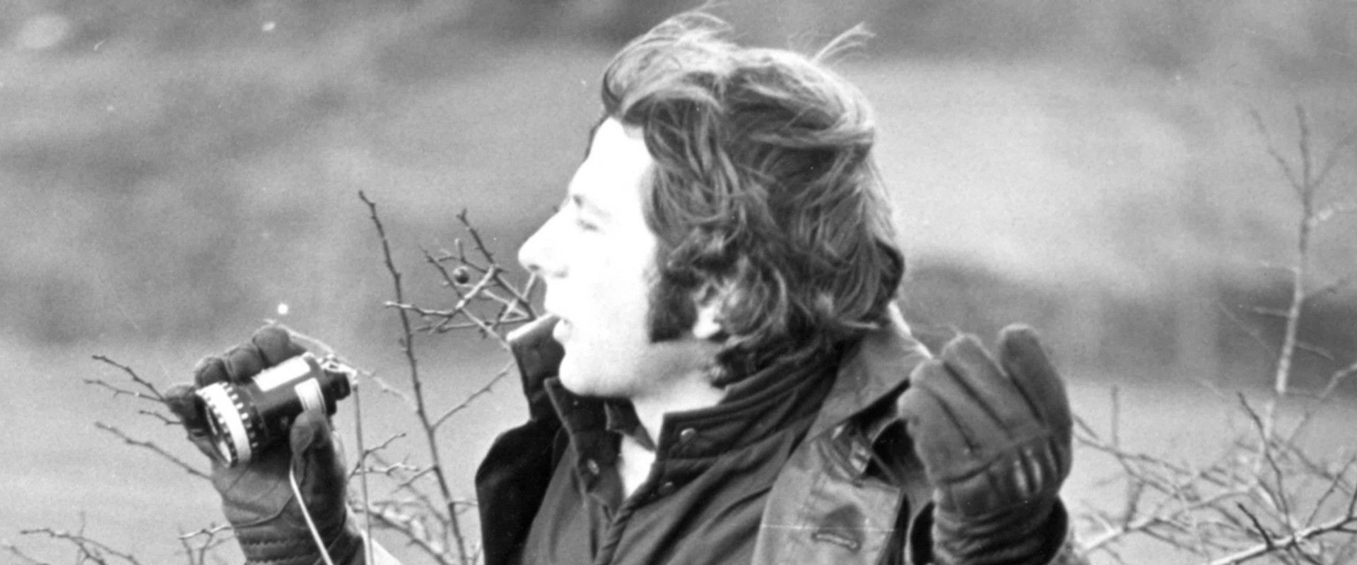 Roman by Polanski's banner image