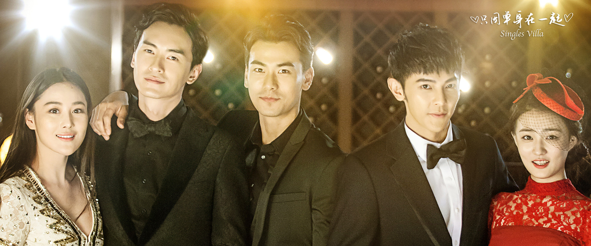 Singles Villa's banner image