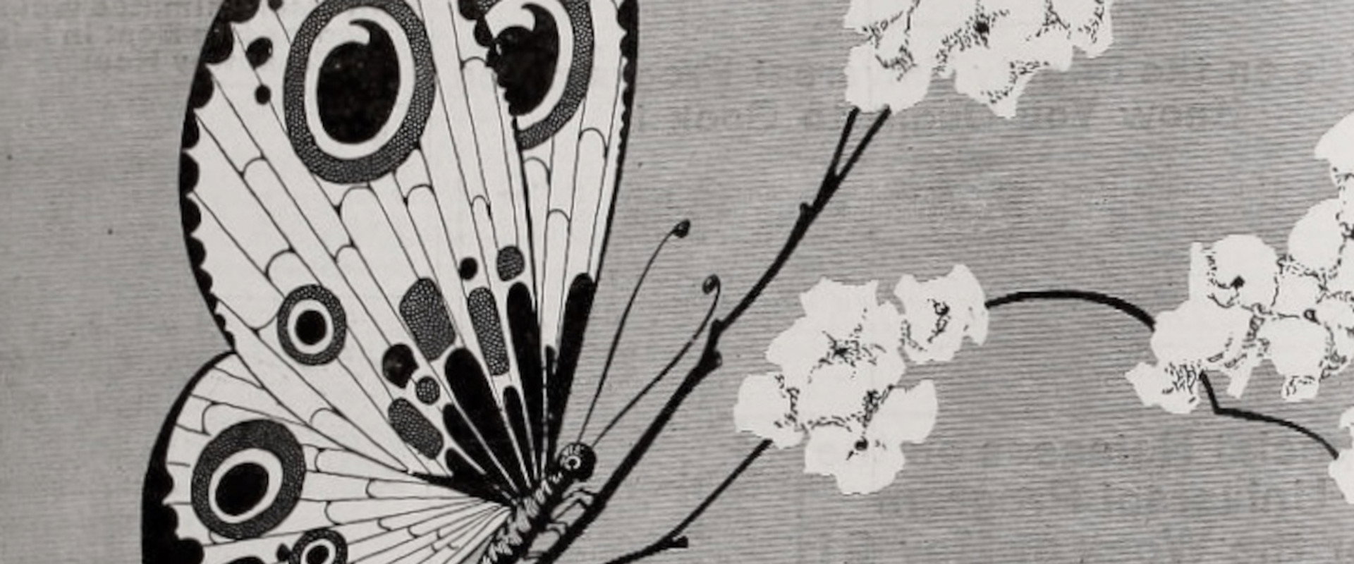 Like Wildfire's banner image