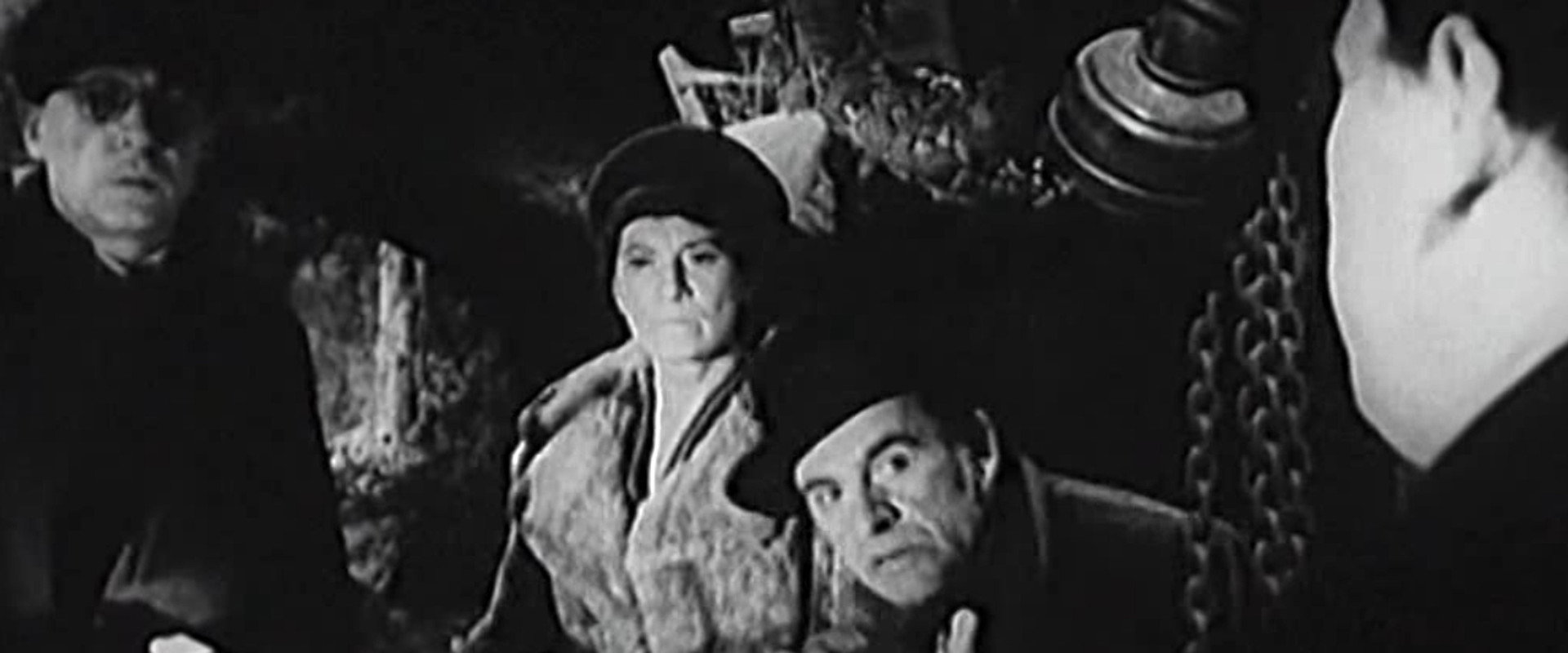 Kým kohút nezaspieva