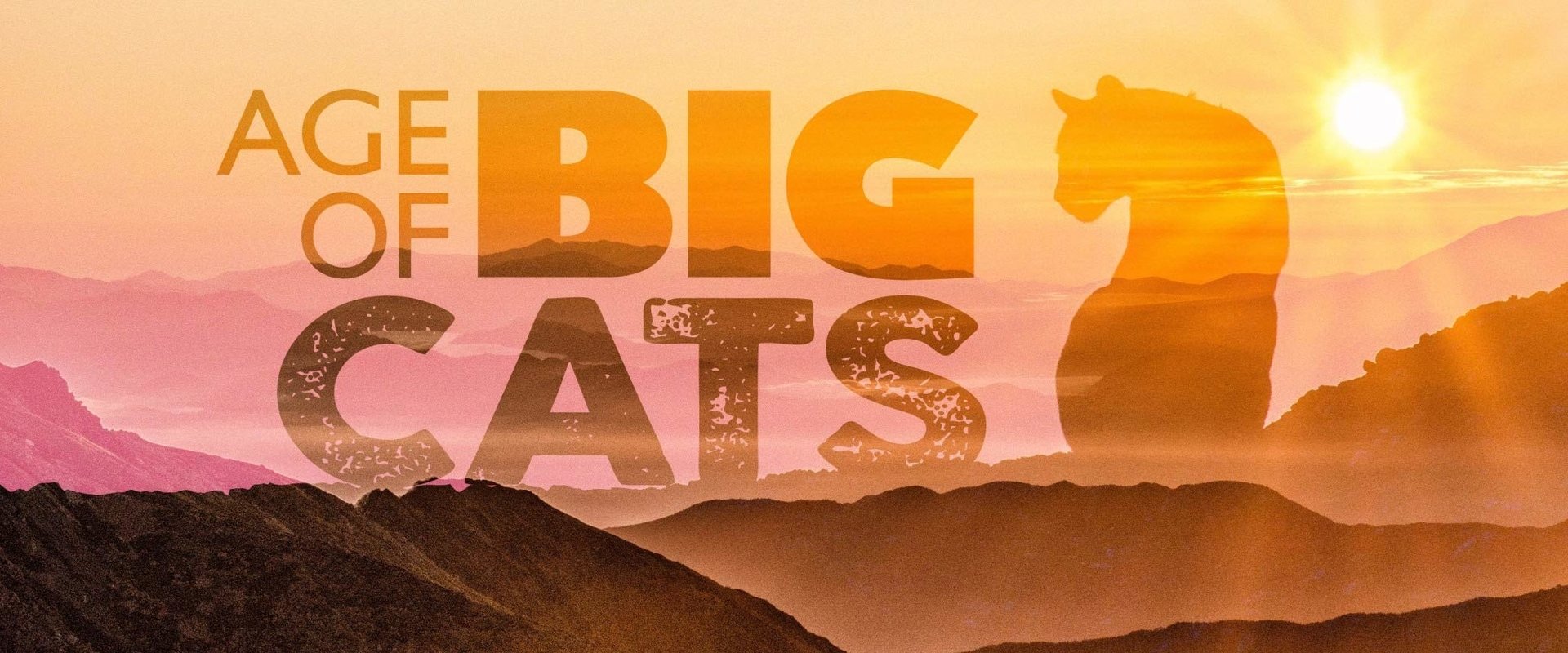 Age of Big Cats
