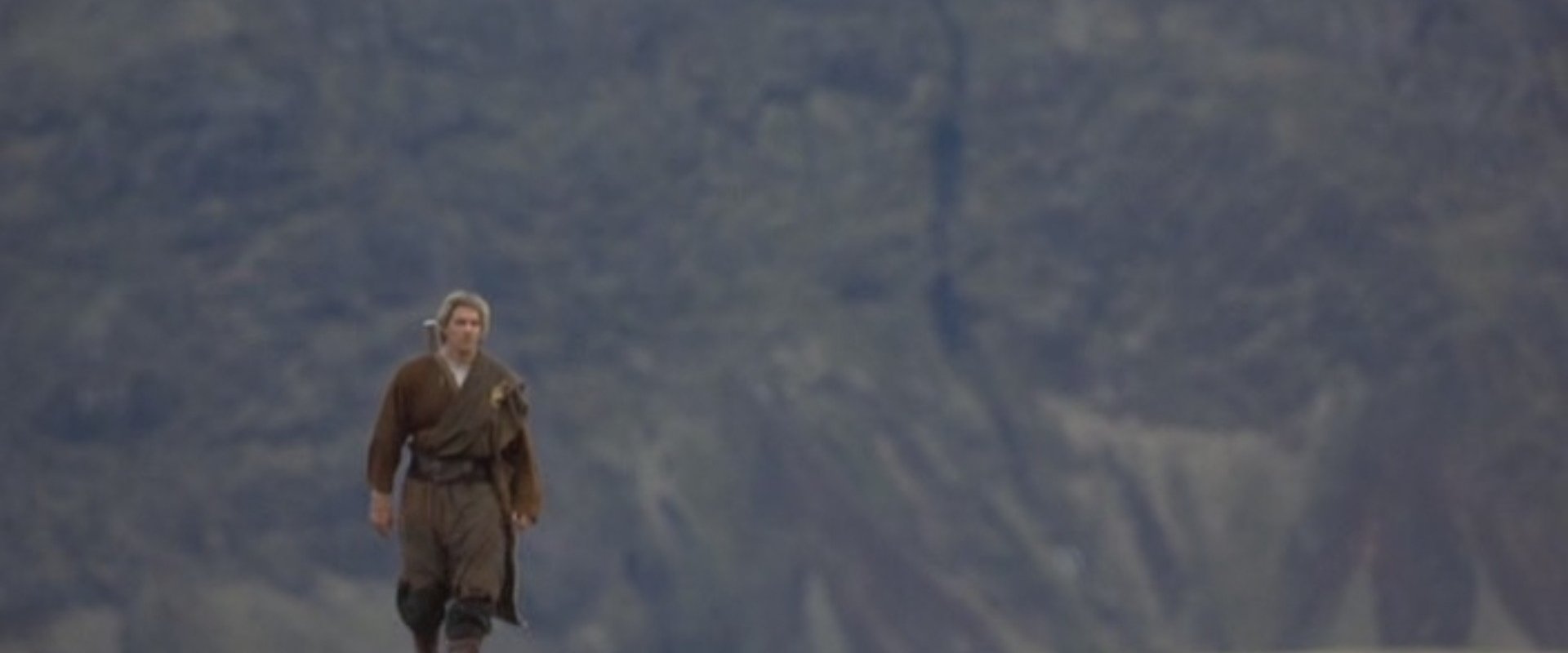 The Viking Sagas