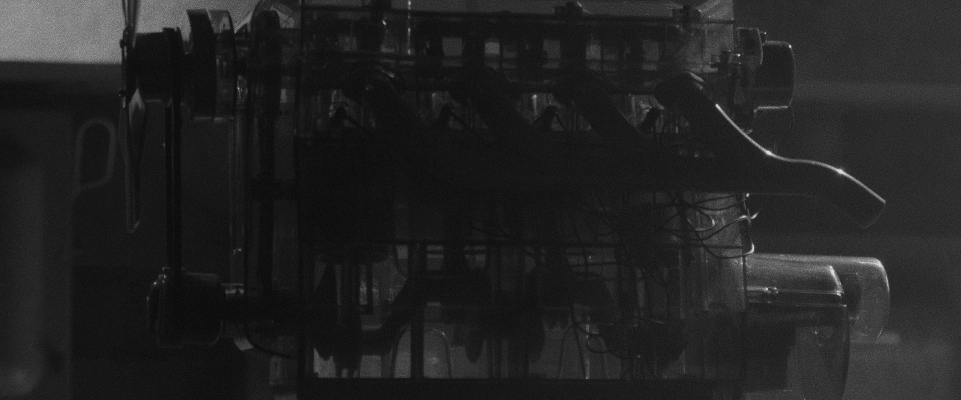 WISDOM of the CROWD's banner image