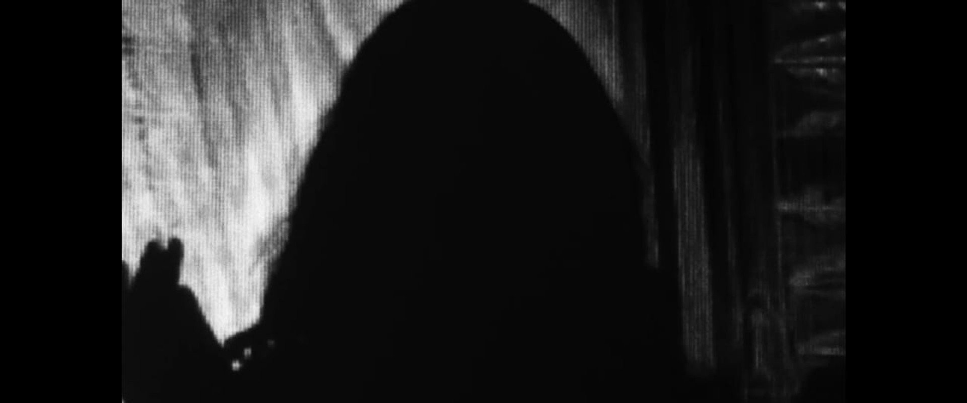 MORTEM IMAGINIS.'s banner image