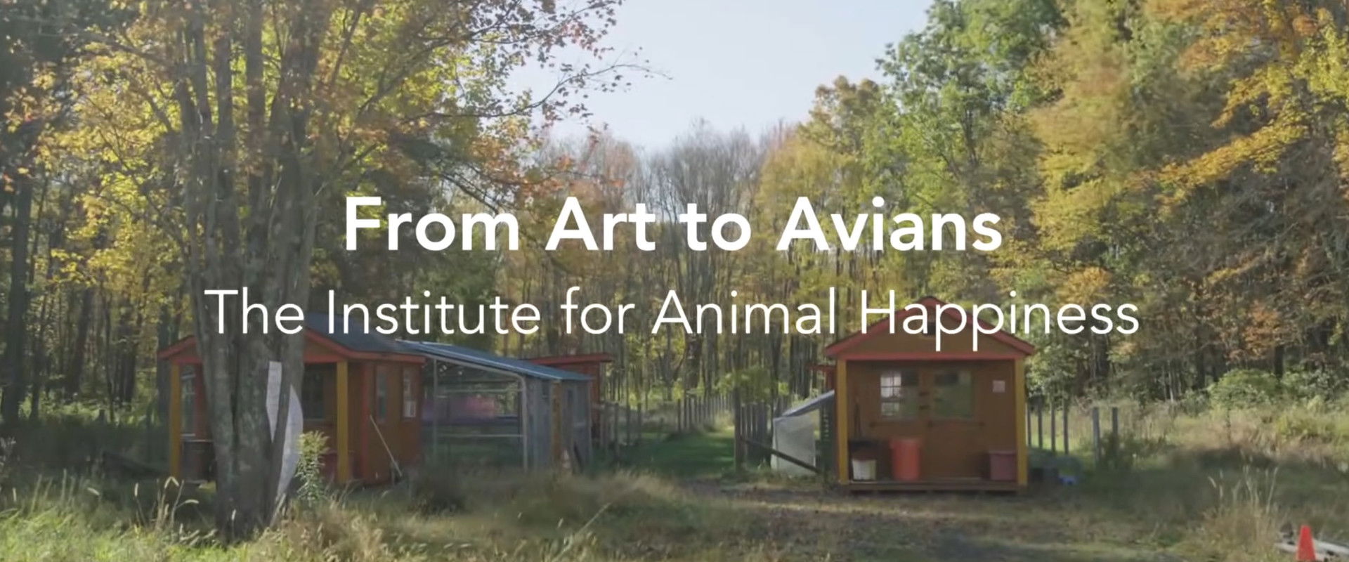 From Art to Avians's banner image