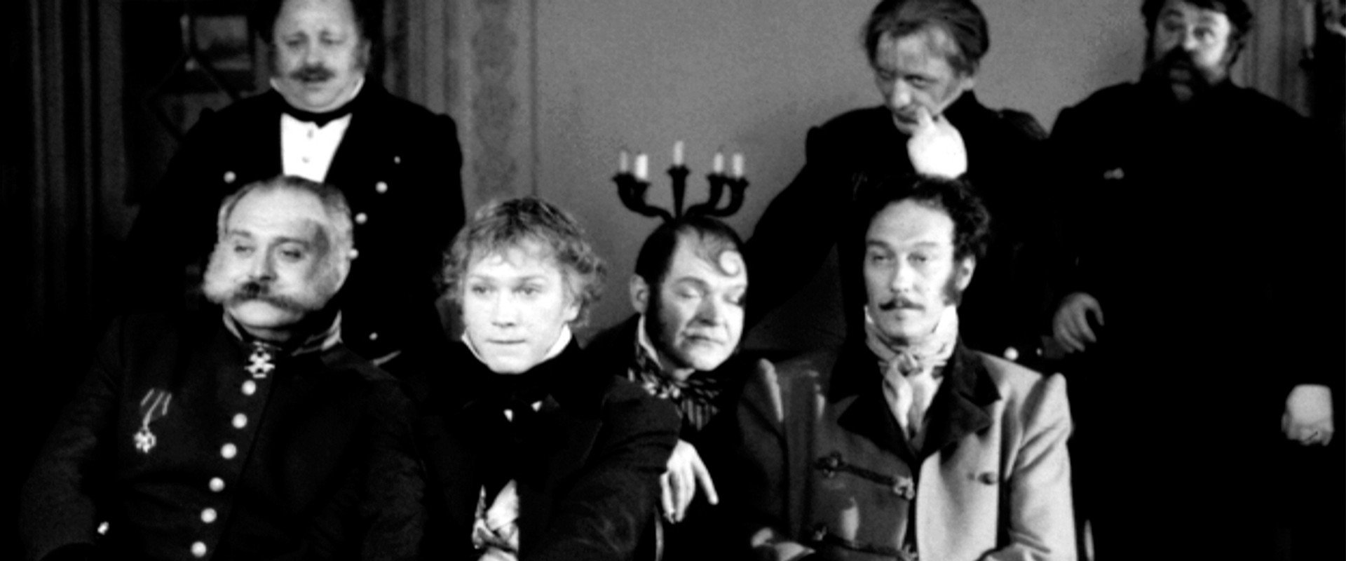 Revizorro's banner image