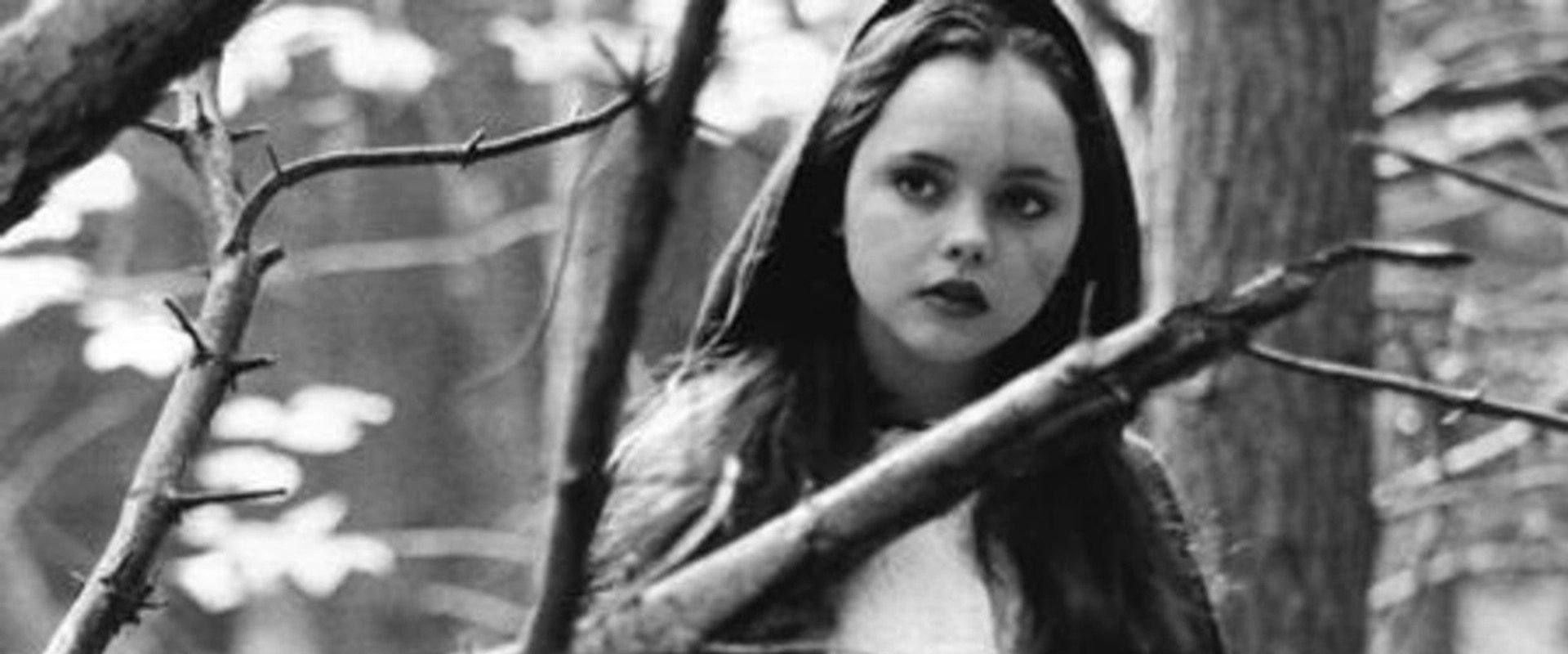 Little Red Riding Hood's banner image