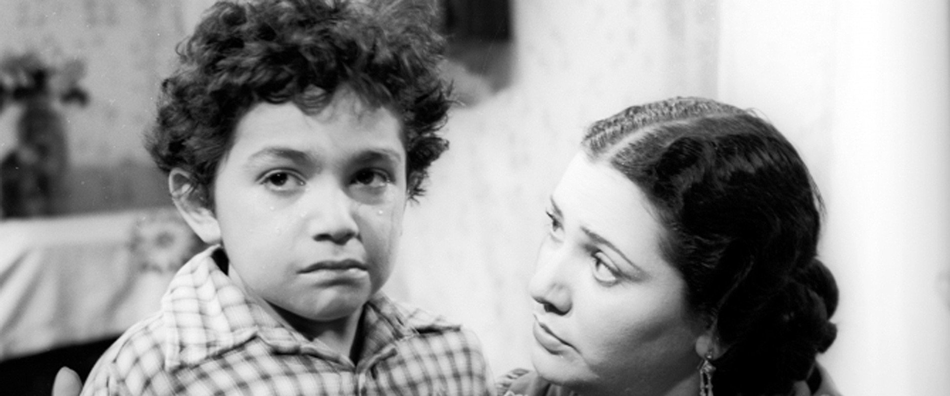 Stepmother's banner image
