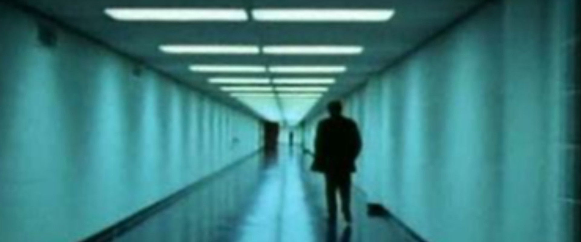 The Trap: What Happened to Our Dream of Freedom