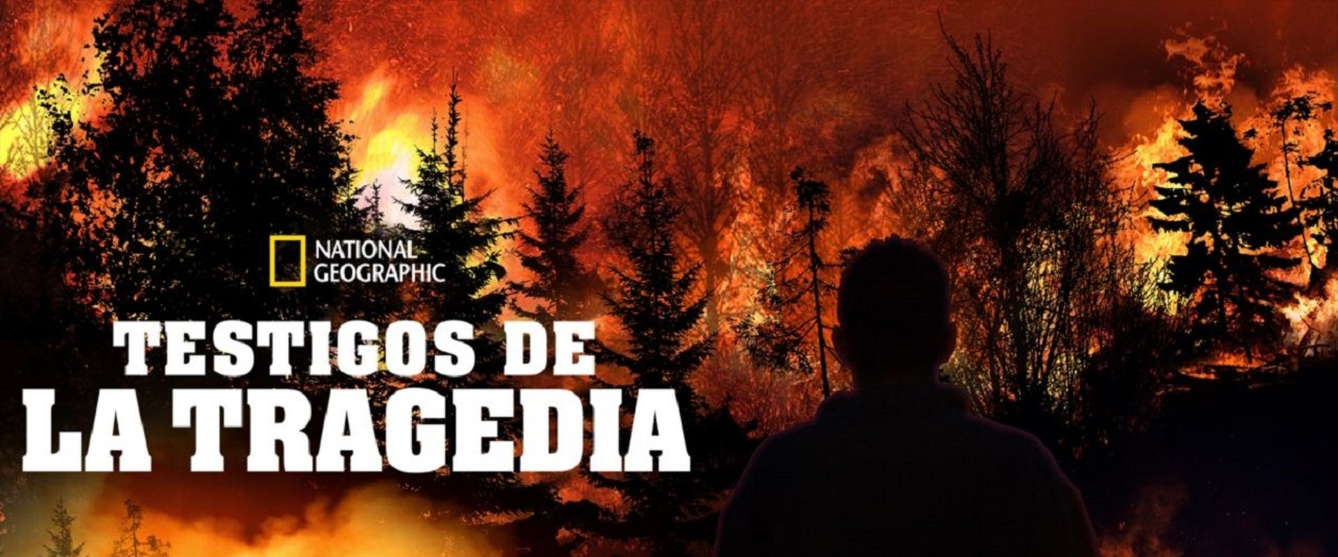 Testigos de la tragedia