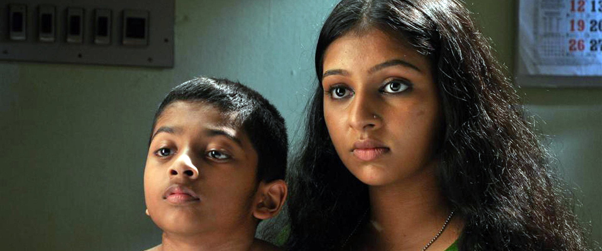 Raghuvinte Swantham Raziya's banner image
