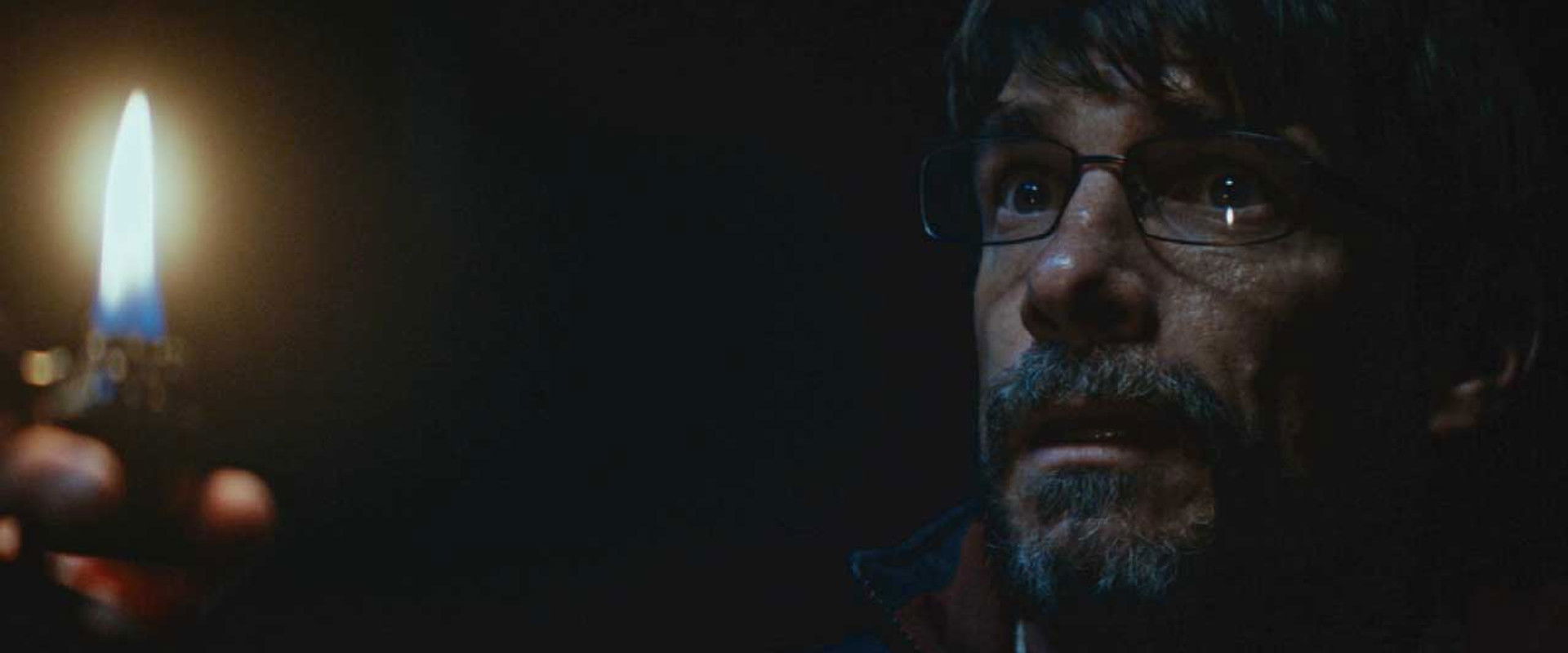 The Birdwatcher's banner image