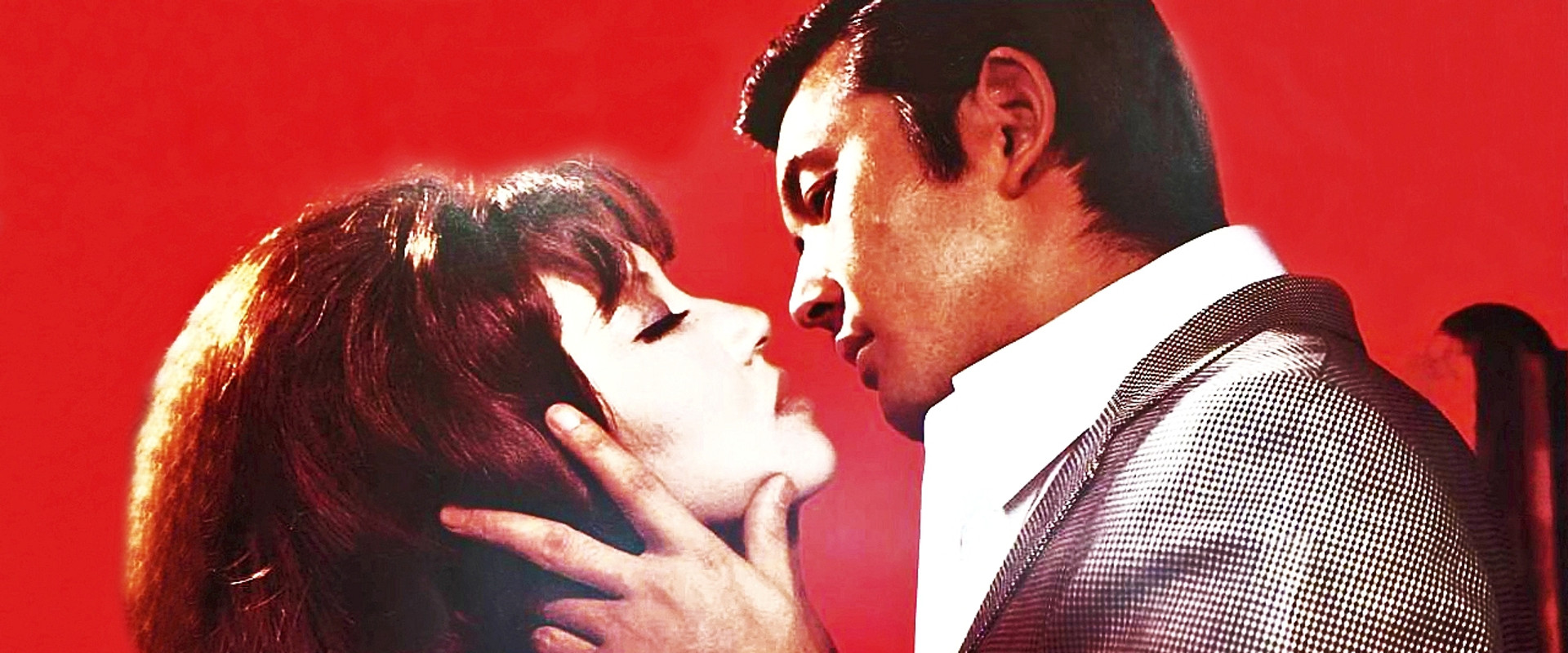 Women's Police: Swirling Butterflies's banner image