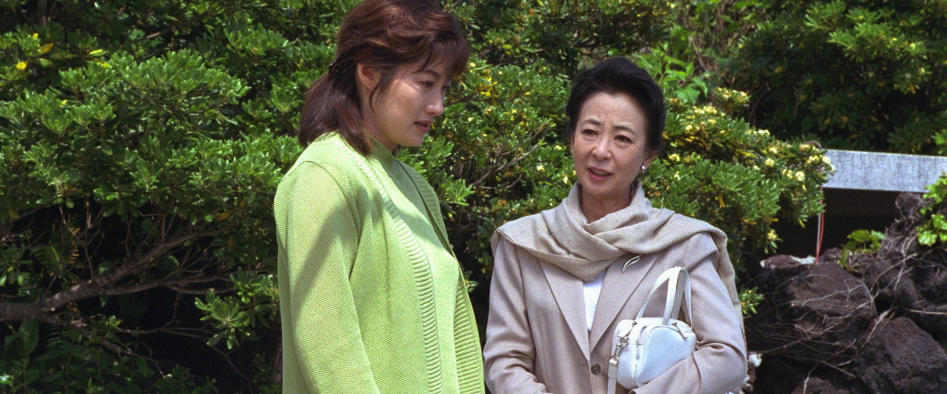 姑は名探偵芹澤雅子　八丈島南国リゾート殺人事件's banner image