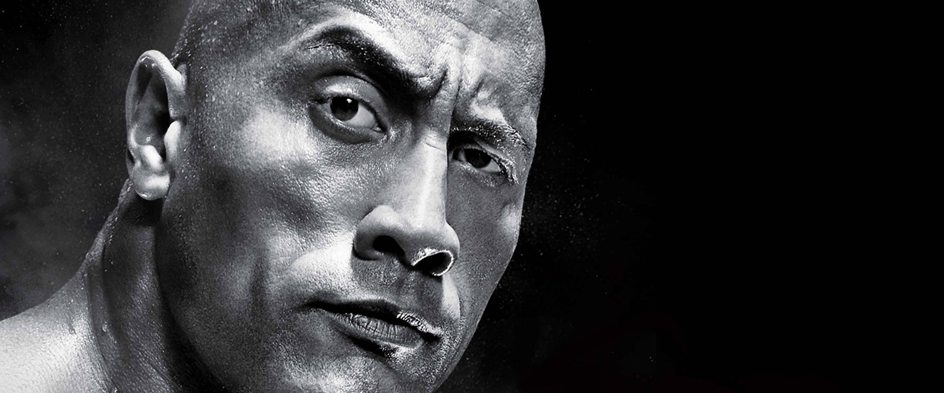 WWE Royal Rumble 2013's banner image