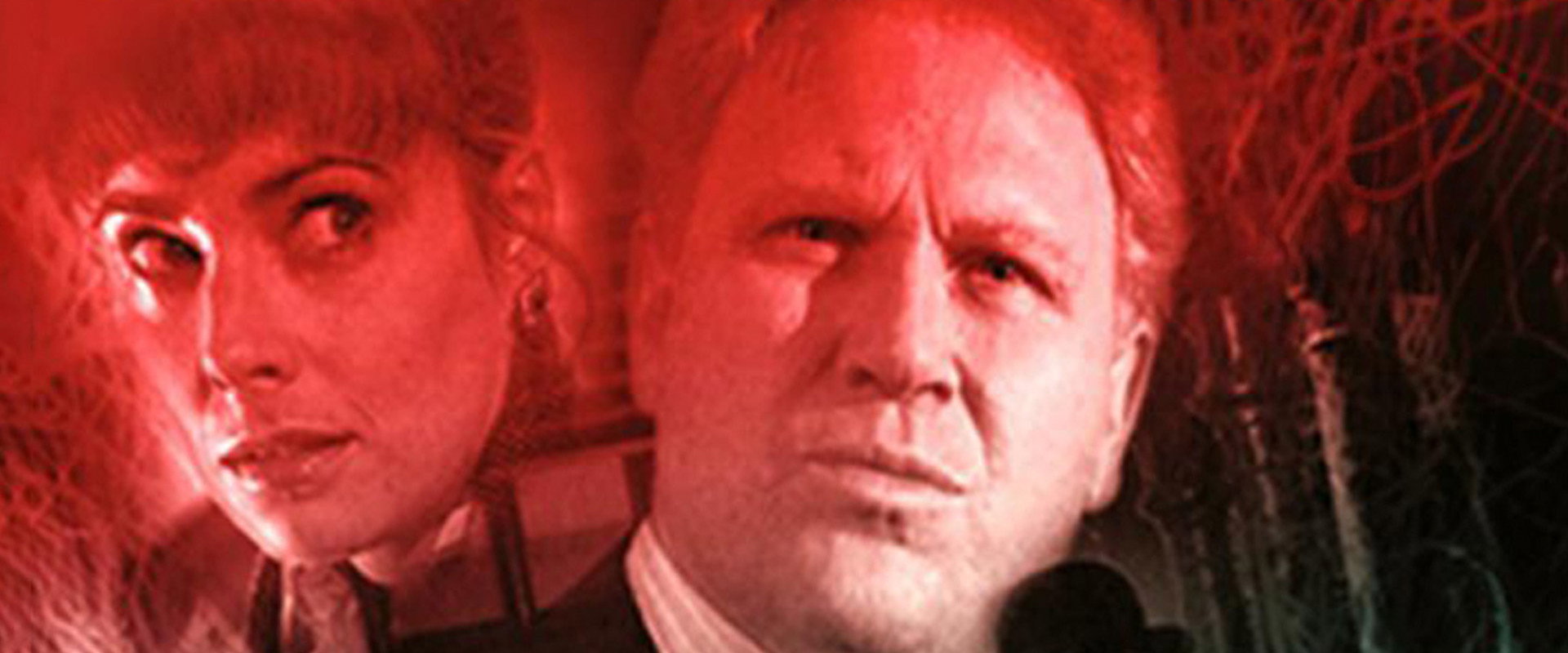 The Stranger: In Memory Alone's banner image