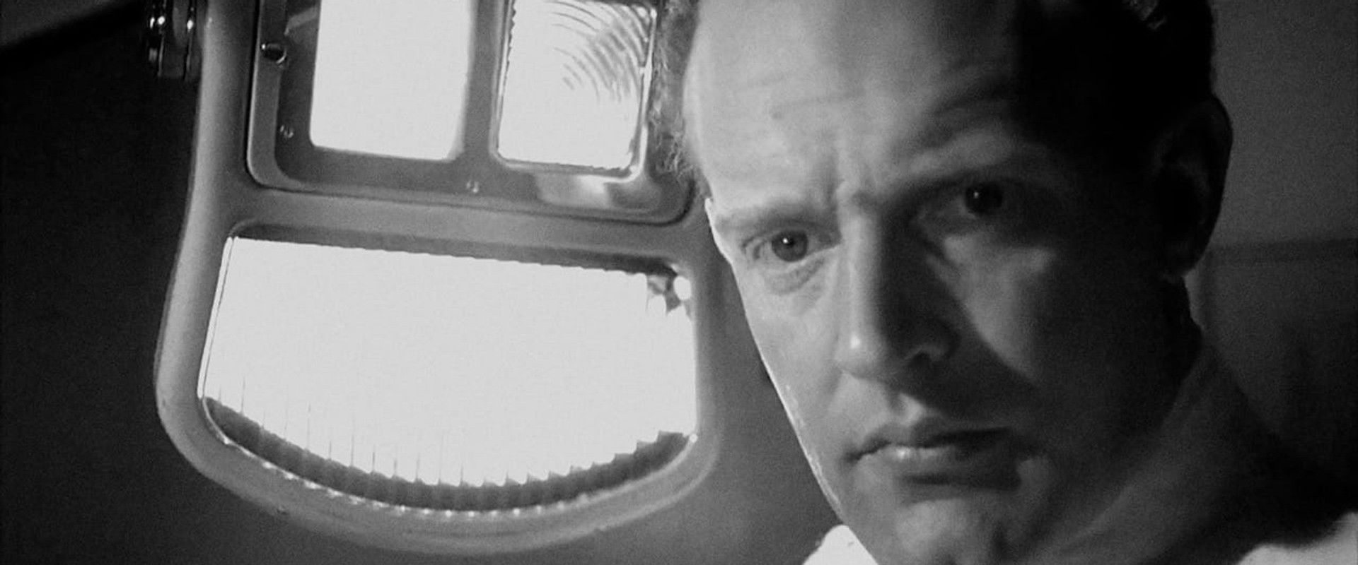 Robert's banner image