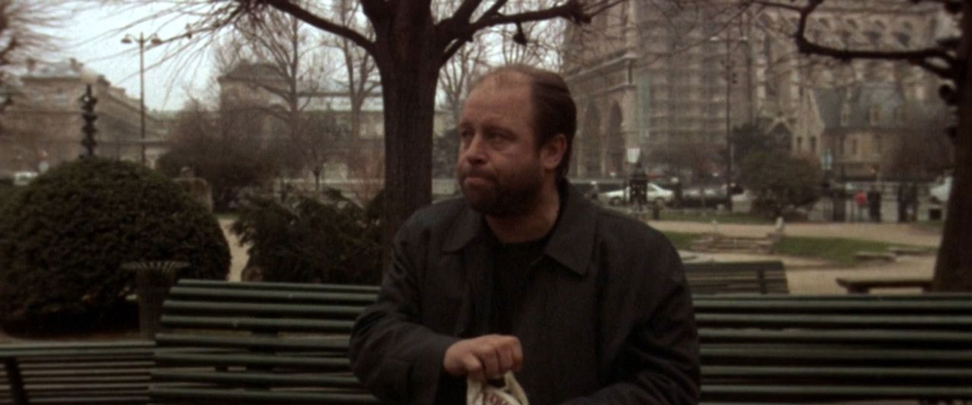 Wandering Sagittarius's banner image