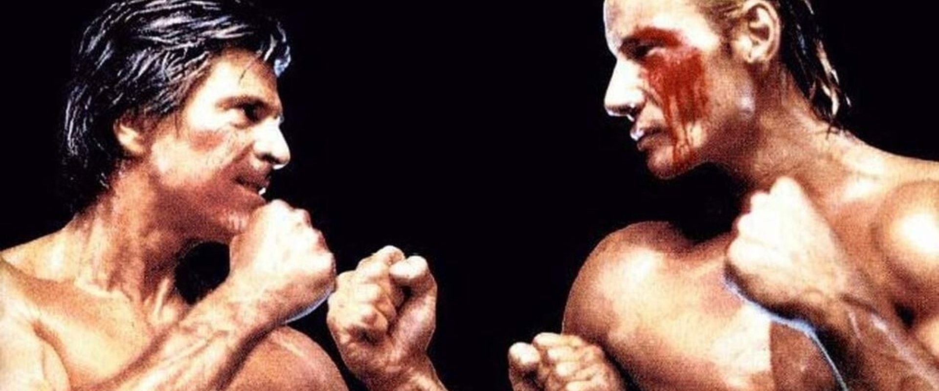 Fist Fighter