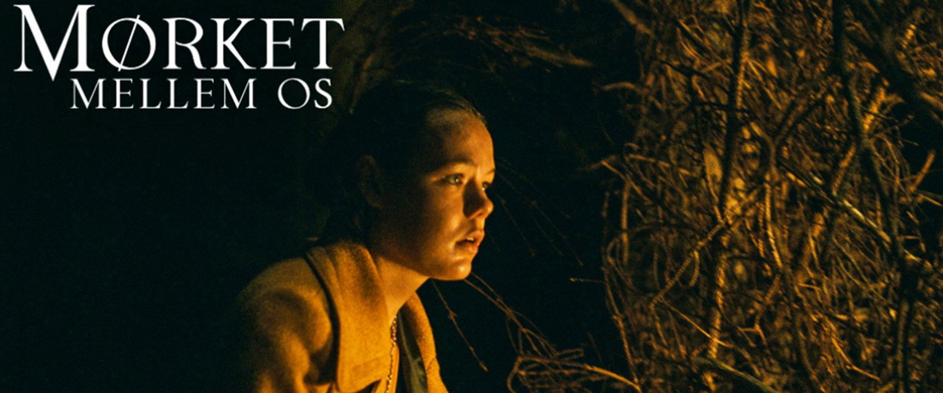 The Darkness Between Us's banner image