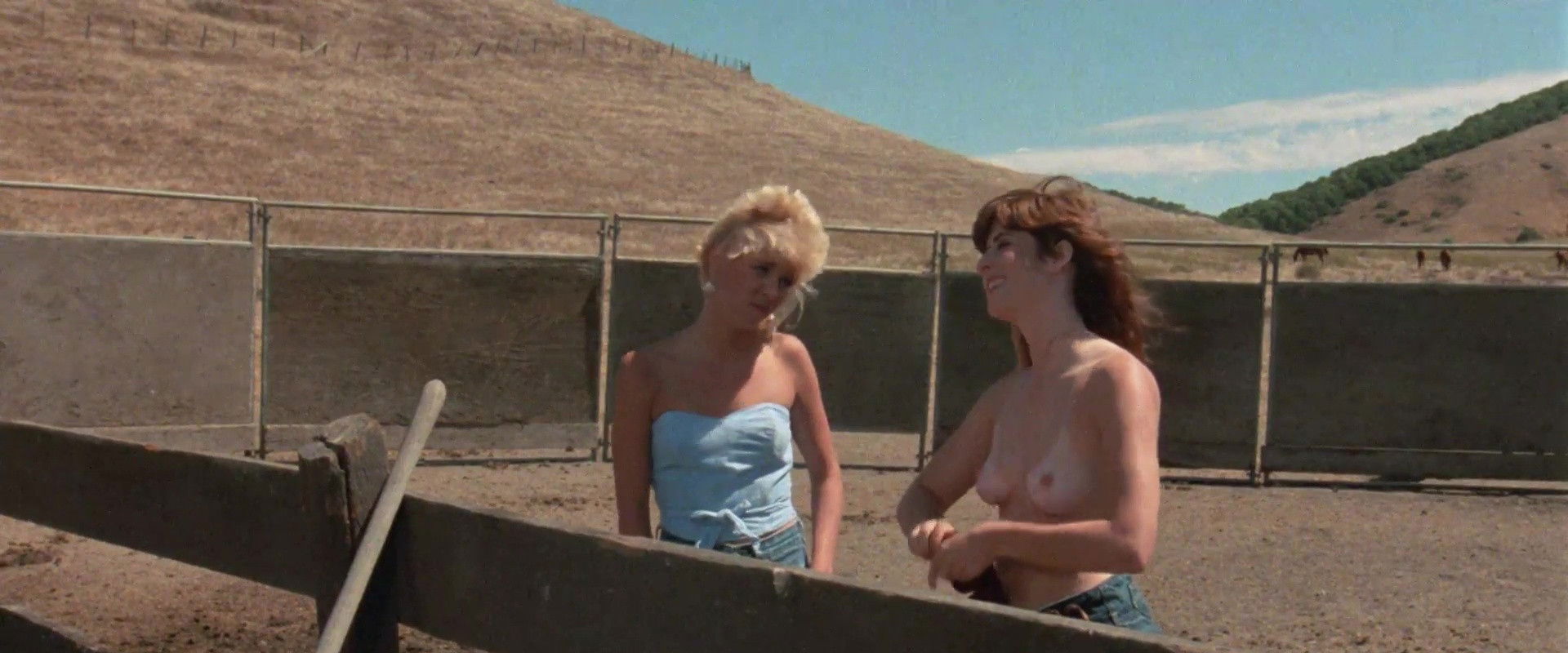 Showdown's banner image