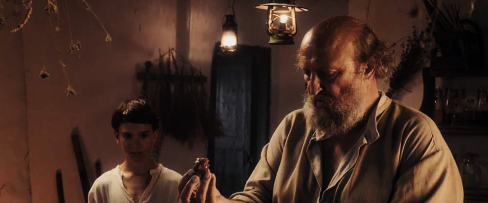 Пети лептир