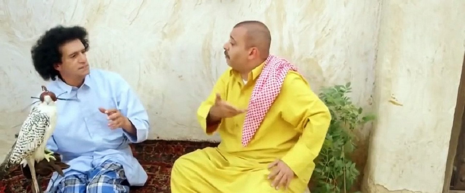 Harish and Warsh