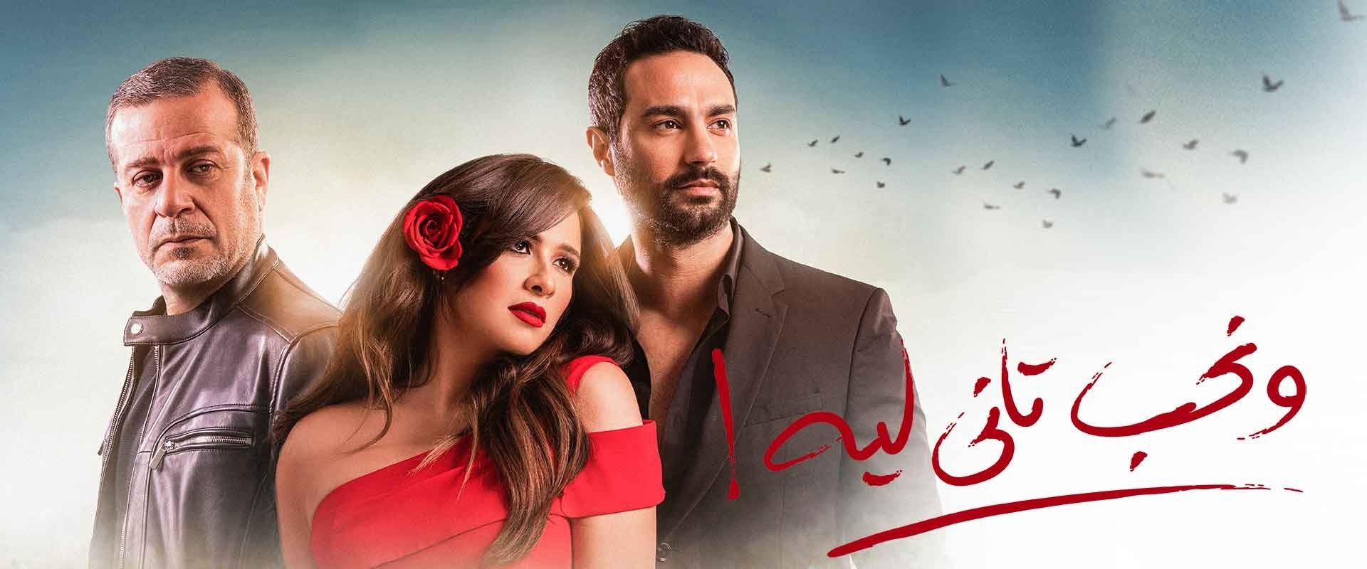 Why Would We Fall in Love Again?