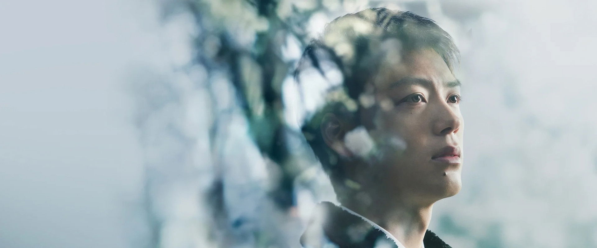 Silent Truth's banner image