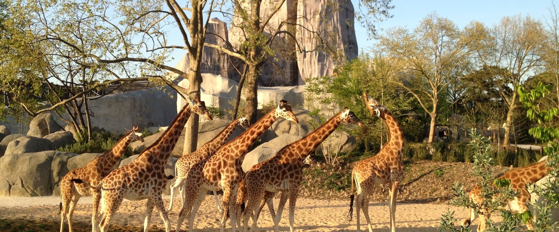 Paris Zoo: An Insider's View