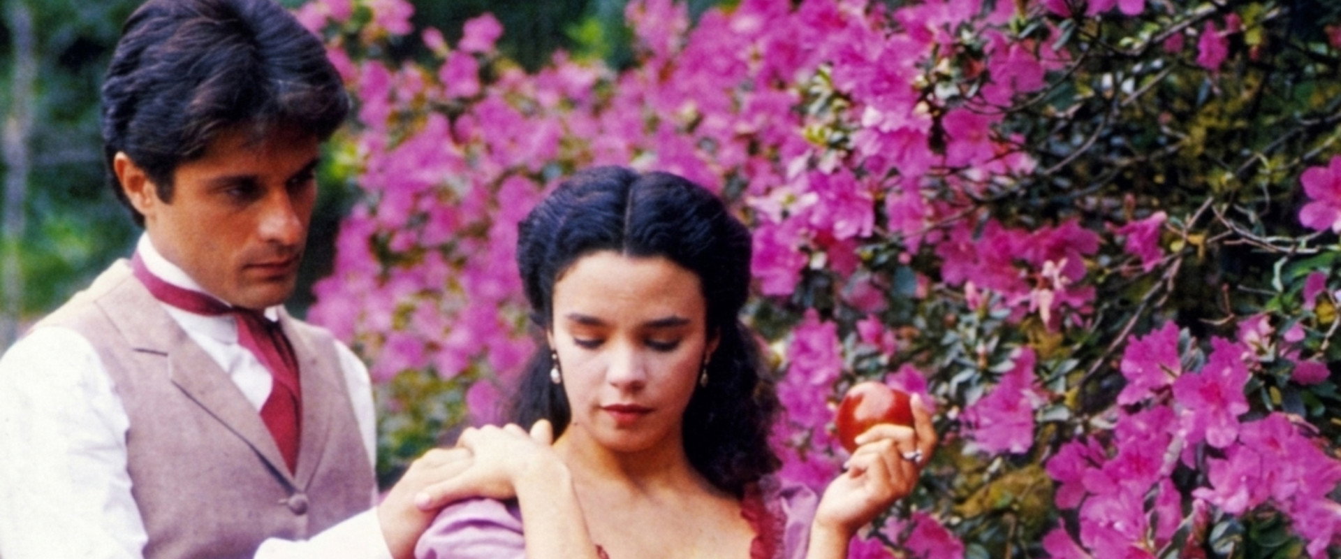 Helena's banner image