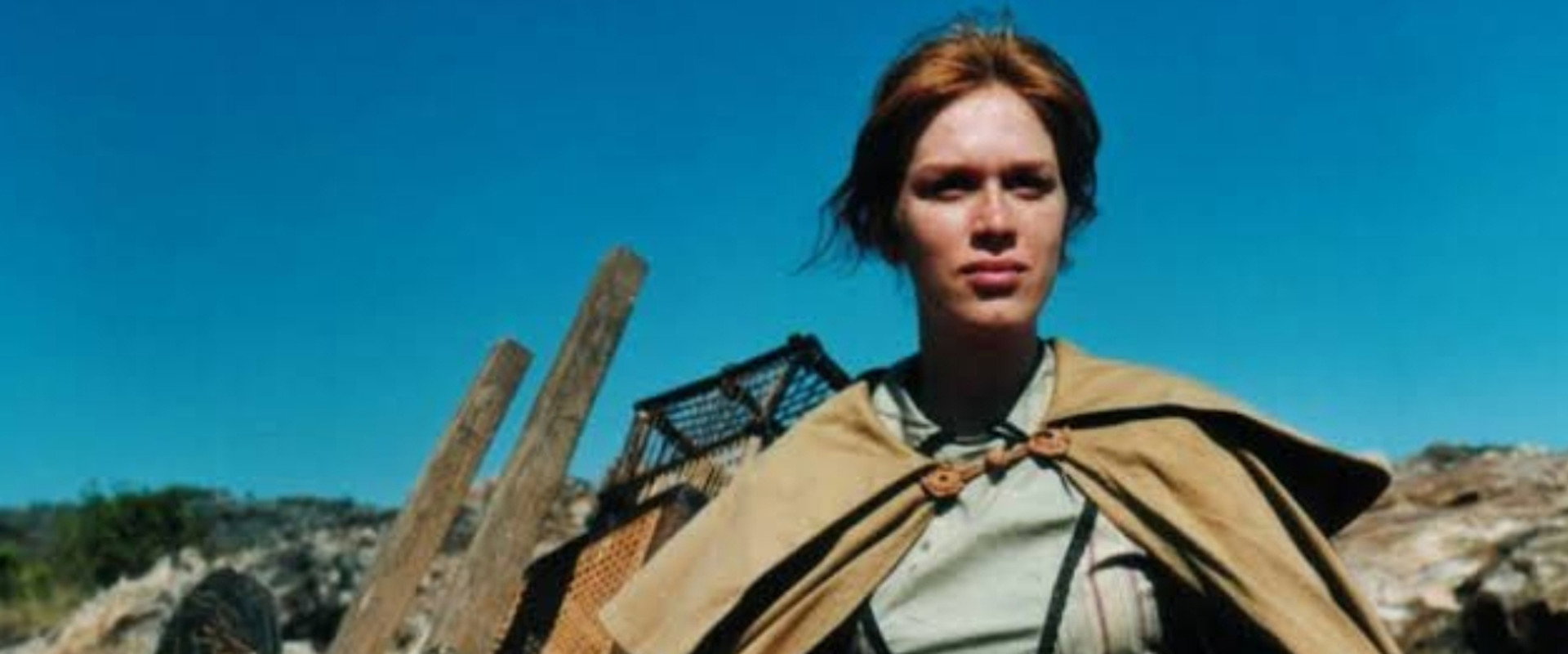 Diary of a Provincial Girl's banner image