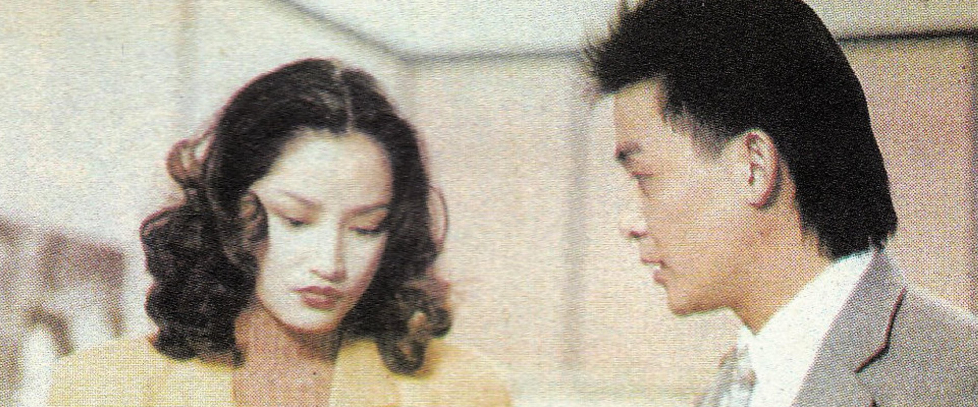 红绒花's banner image