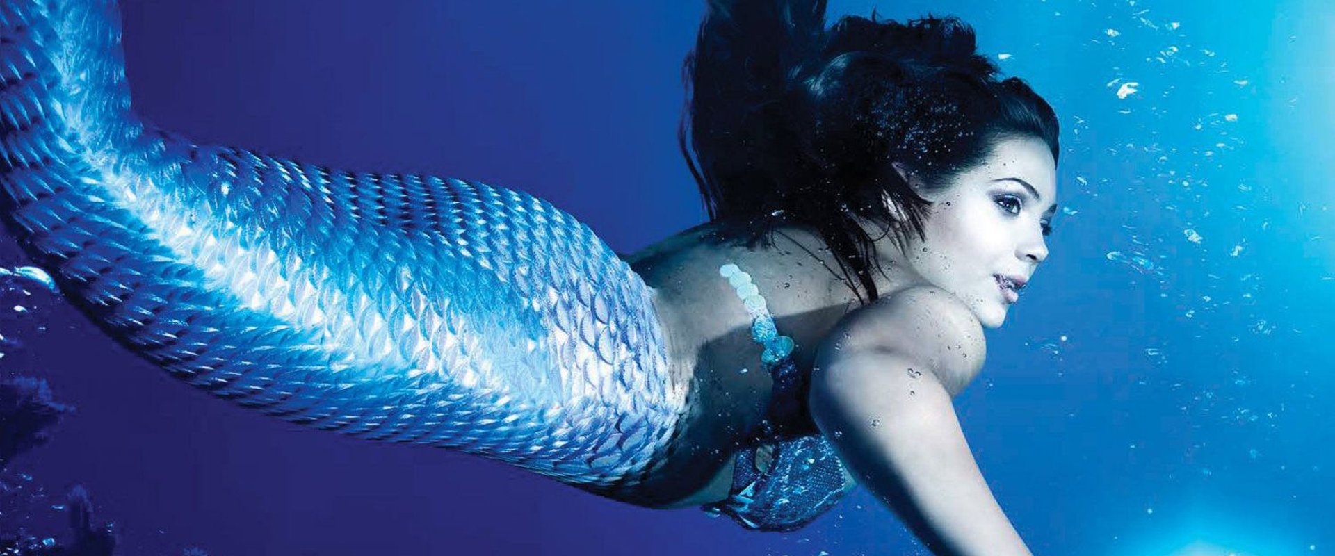 Scales: Mermaids Are Real