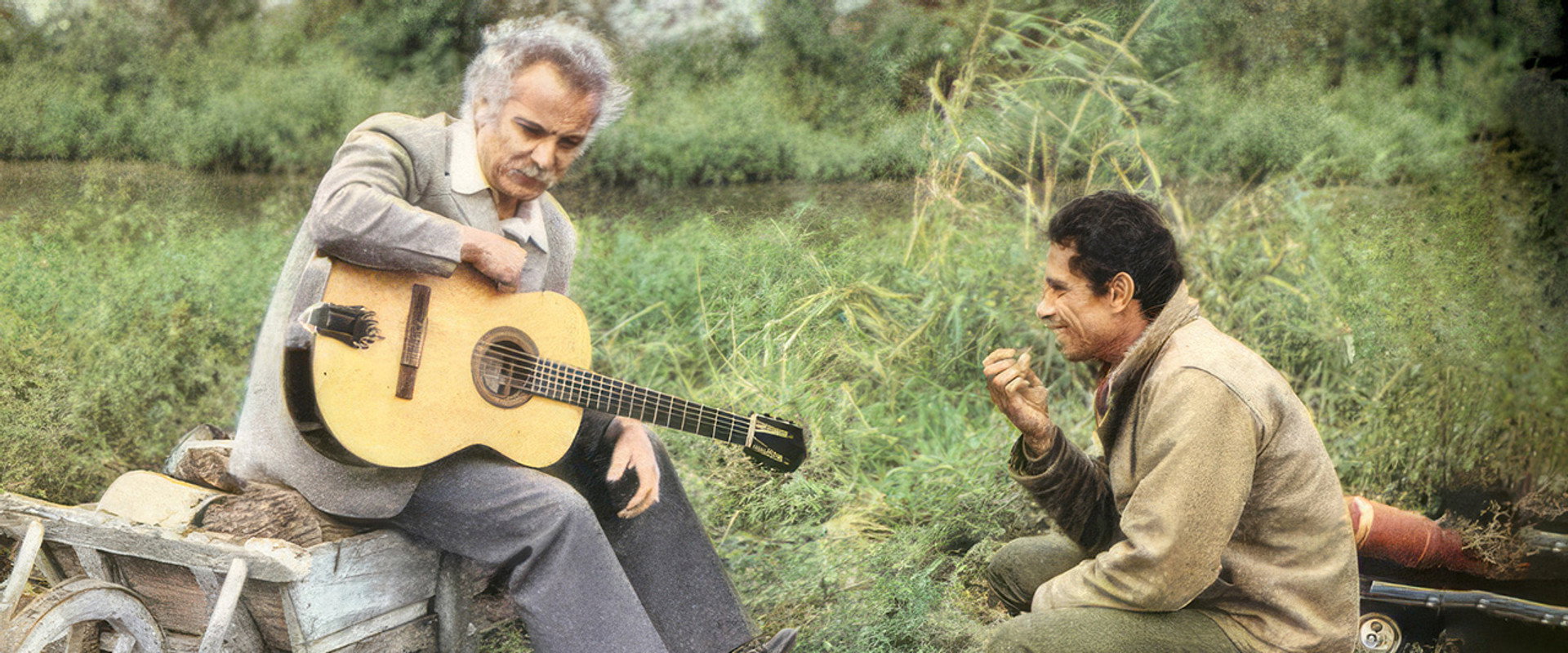 Pourquoi t'as les cheveux blancs...'s banner image