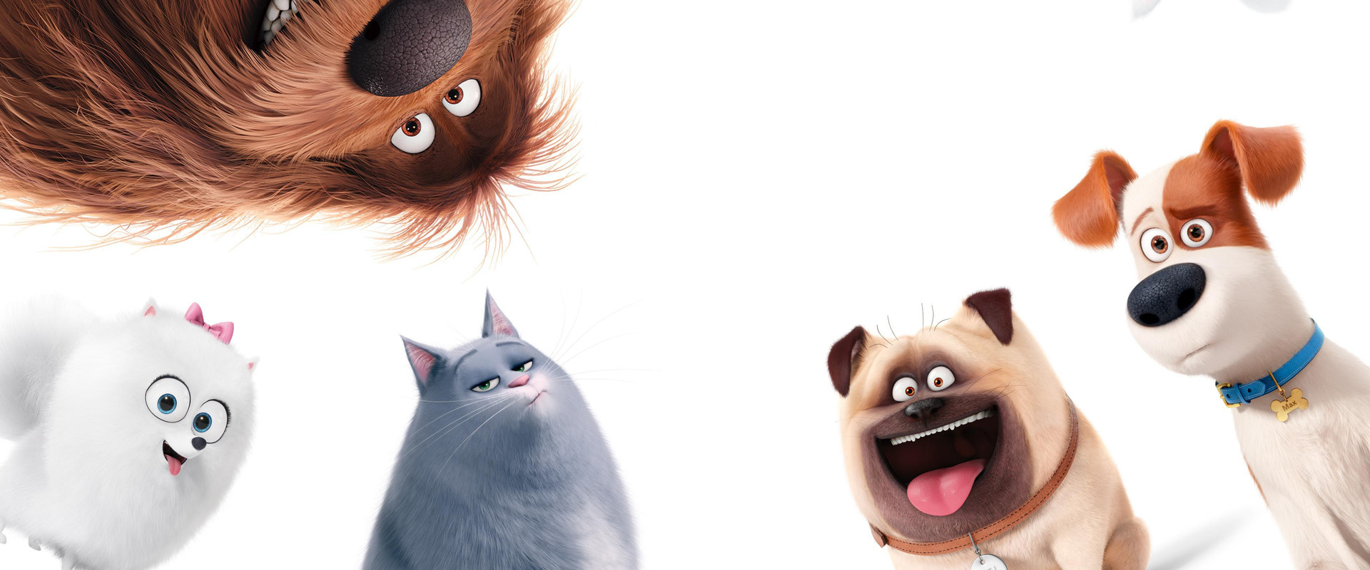 A Vida Secreta dos Nossos Bichos