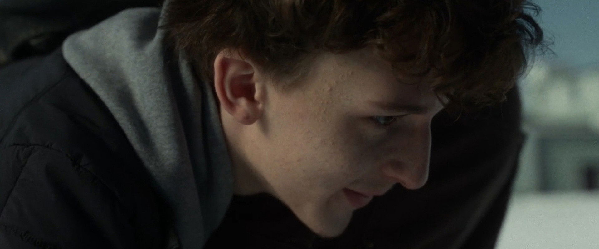 Animals's banner image