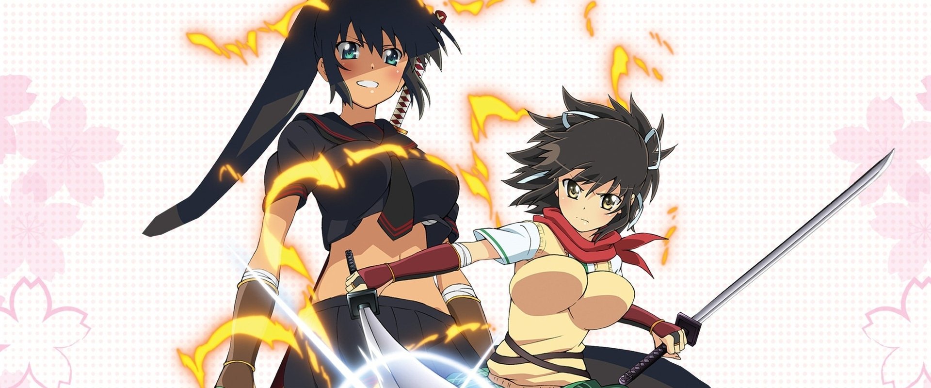 Senran Kagura: Ninja Flash