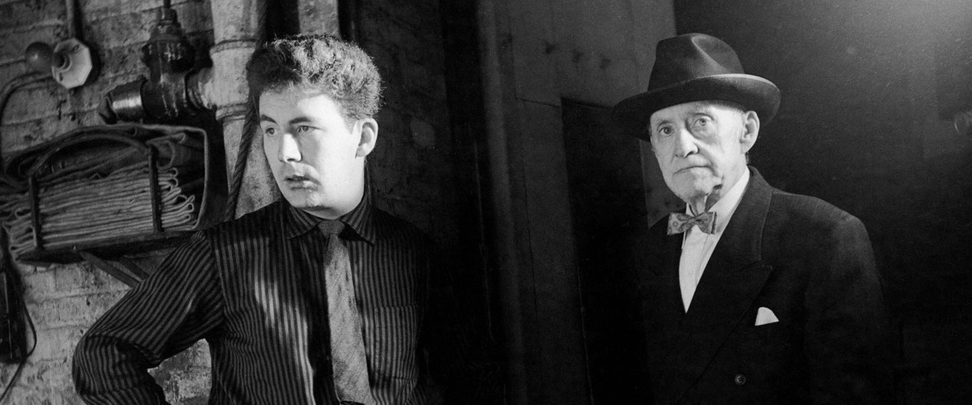 Fred Barry comédien's banner image