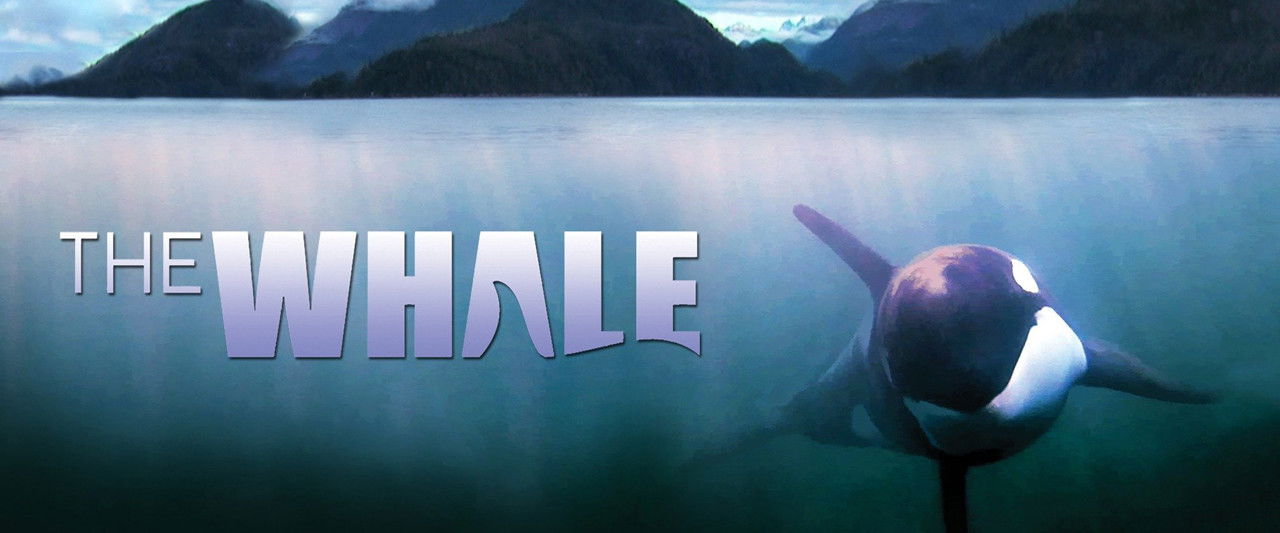The Whale