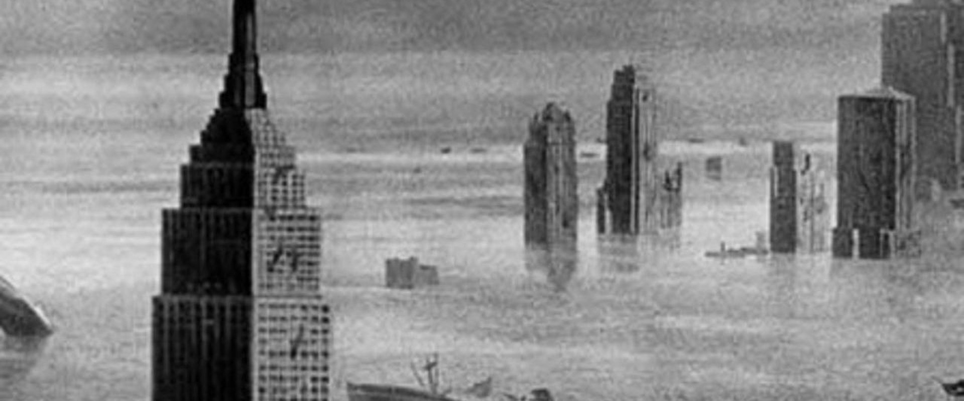 Deluge
