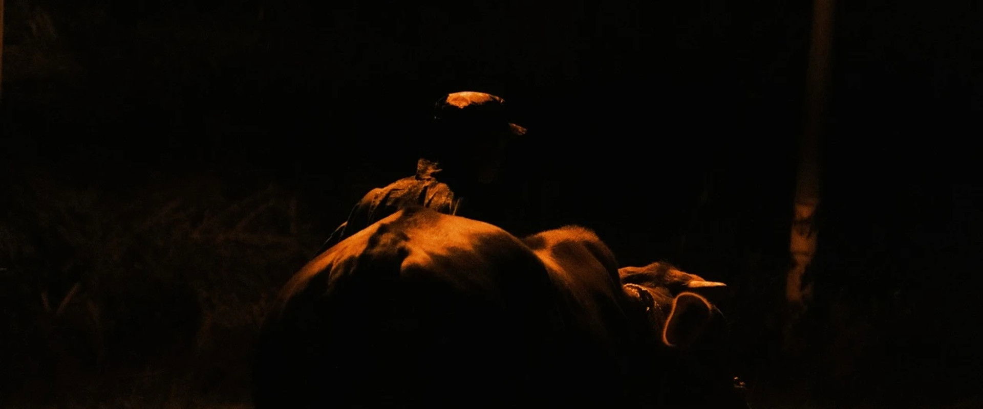 This Is NOT My Cow's banner image