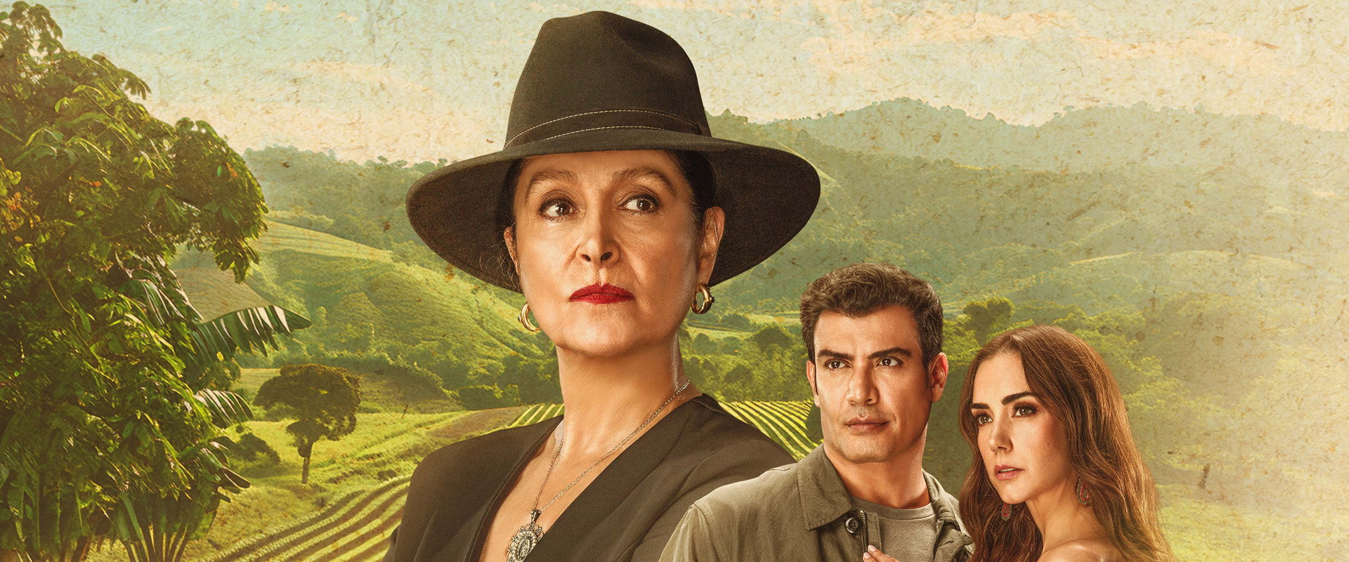 Amor amargo's banner image
