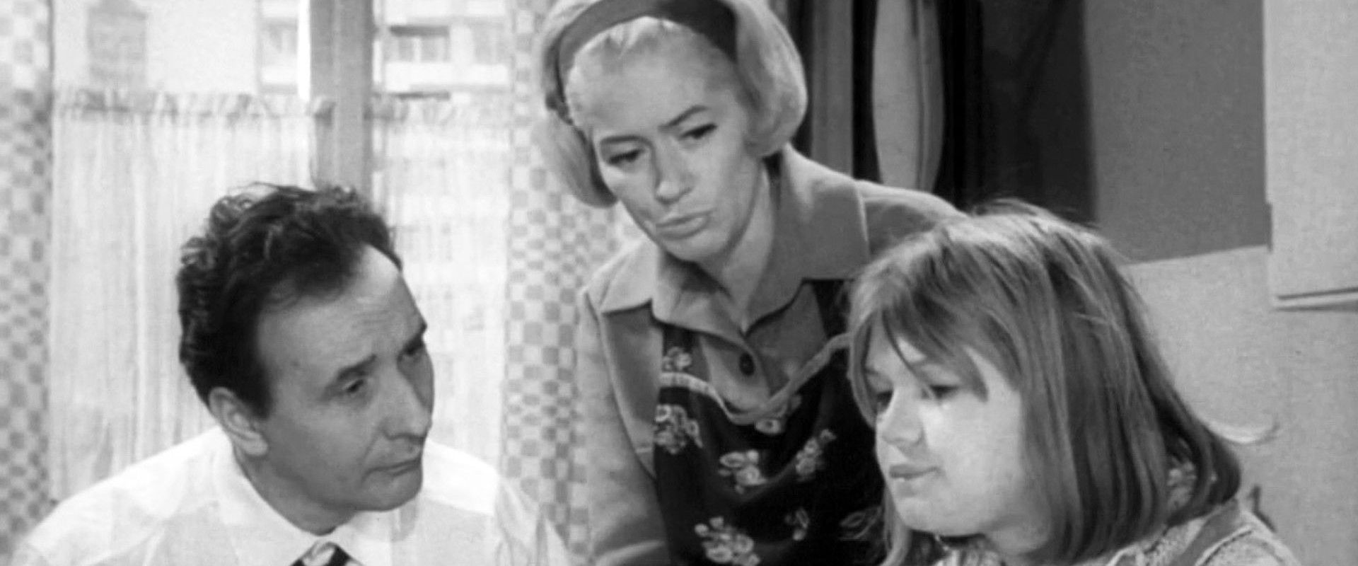 Wojna domowa's banner image