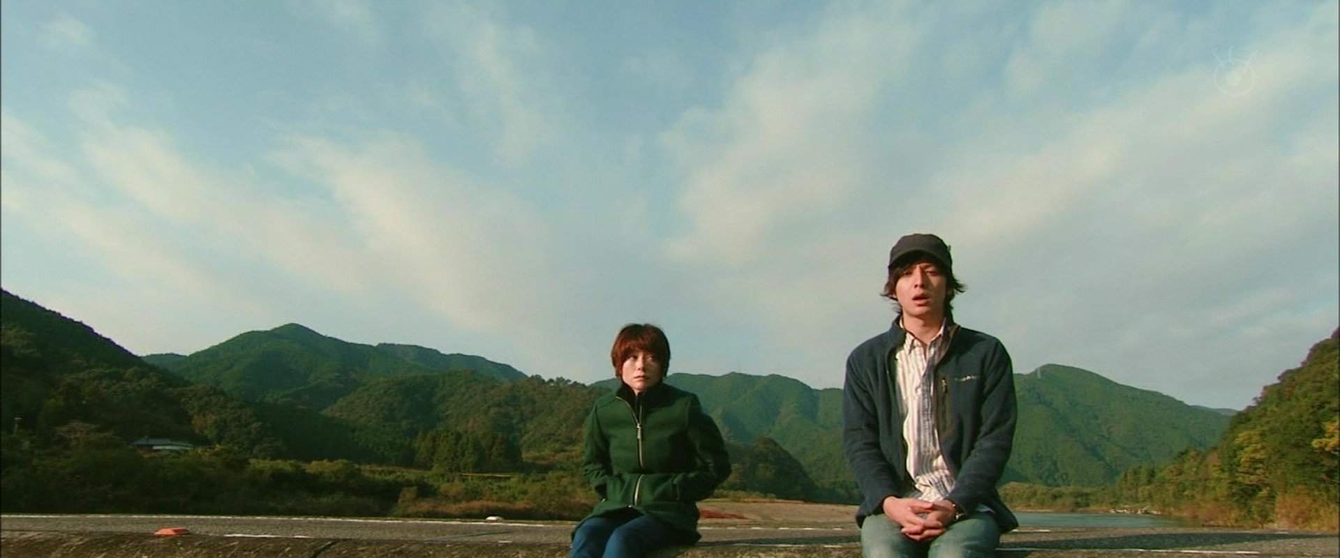 Late Blooming Sunflower My Life Renewed