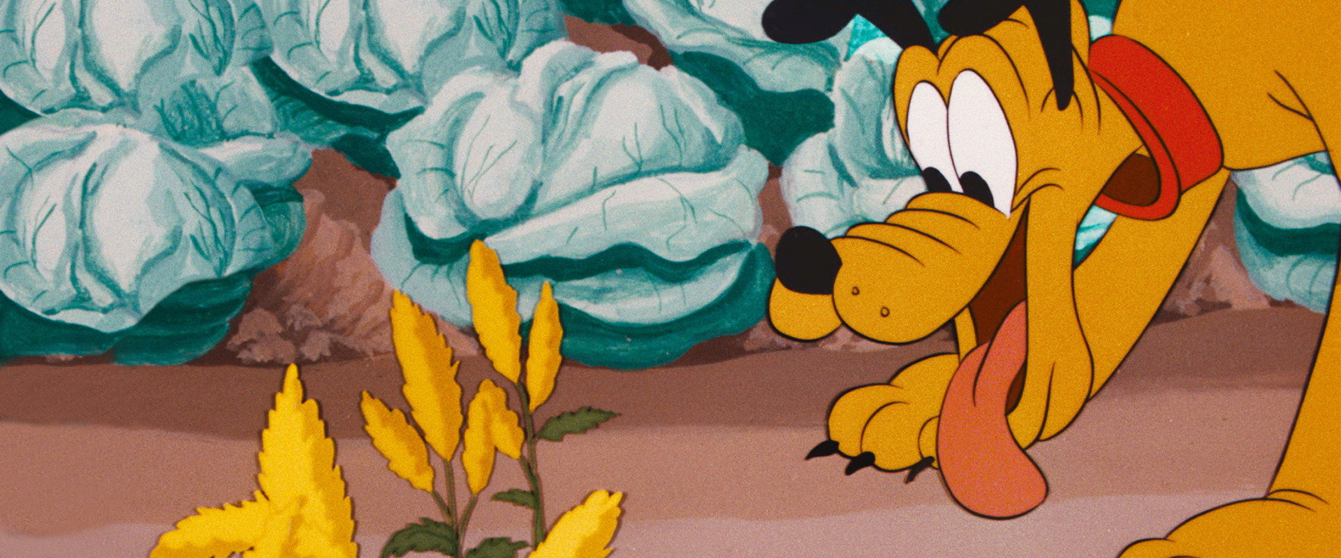 Bone Bandit's banner image